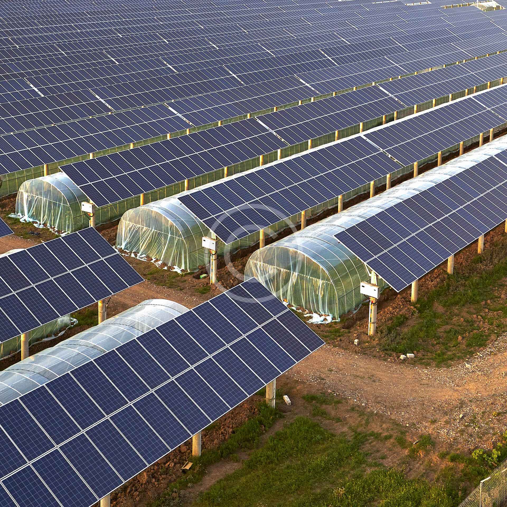 Solar greenhouses